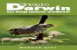 124-20 Darwin Polnisch Aufl 1 2017-11- neues Design · WERNER GITT Finch, Insulele Galapagos Darwin Czego nie mógł jeszcze wiedzieć!