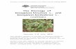The Biology of cotton (2016) - health.gov.au  · Web viewThe Biology of Gossypium hirsutum L. and Gossypium barbadense L. (cotton). Version 3.0 July 2016. This document provides