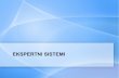 EKSPERTNI SISTEMI - ai.fon.bg.ac.rsai.fon.bg.ac.rs/wp-content/uploads/2015/06/ES-osnove-2015.pdf · Page 2 Ekspertni sistemi - osnove Ekspertni sistem (ES) je računarski program