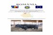 Perspectivele cresterii taurinelor de carne si a ... Perspectivele cresterii... · 1" " romÂnia ministerul agriculturii Şi dezvoltĂrii rurale agentia nationala pentru ameliorare
