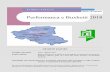 Performanca e Buxhetit 2018 - elbasani.gov.al e Buxhetit Bashkia Elbasan.pdf · Përmbledhje mbi situatën financiare, të ardhurat, shpenzimet sipas programeve si edhe rezultatet