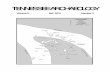TENNESSEE ARCHAEOLOGY - sitemason.com · Welcome to the tenth issue of Tennessee Archaeology, with articles ranging from mastodons and Paleoindians, Mississippian settlements in West