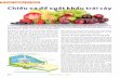 Chiếu xạ để xuất khẩu trái cây - cesti.gov.vn 32-34.pdf · Bộ Y tế Việt Nam đã ban hành các quy định và tiêu chuẩn về chiếu xạ thực phẩm như