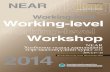 Working-level Workshop - neargov.org · Улс бүрийн төлөөлөл хундаганы үг хэлнэ / Хүндэтгэлийн зоог Тоглолт үзэх / Дуусах,