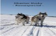 Siberian Husky - Rassespecial - dcnh.de · 30 Ausgabe 01/2016 zusammengestellt von Petra Jessen Herkunft Die Vorfahren unserer Siberian Husky stammten aus dem nördlichen Sibirien.