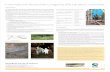 International Bentonite Longevity (IBL) project: overviewtupa.gtk.fi/posteri/tp_0409.pdf · Lay-out: Harri Kutvonen Geological Survey of Finland H.M.Reijonen1, M.Ito2 & W.R.Alexander3*