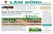 TIẾP TRANG 2XEM Rừng và đất rừng Tây Nguyên đang bị tranh …baolamdong.vn/upload/others/201703/23470_BLD_ngay_20.3.2017.pdf · chỉ ra ở đây là tất cả mọi