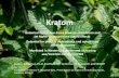 Kratom - whpreventionpartnership.orgwhpreventionpartnership.org/wp-content/uploads/2019/04/Kratom... · • Kratom was primarily used by a middle-aged (31-50 years) males (56.91%)