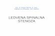 Ledvena spinalna stenoza - ortopedrecnik.si · Doc. dr. Gregor Rečnik, dr. med., Oddelek za ortopedijo, UKC Maribor LEDVENA SPINALNA STENOZA