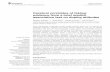 Cerebral correlates of faking: evidence from a brief ... · Division of Sport and Exercise Psychology, University of Potsdam, Potsdam, Germany Direct assessment of attitudes toward