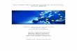 The Foreign Policy of the EU towards the Arctics and the ... · The Foreign Policy of the EU towards the Arctics and the Western Balkans Master’s degree in European Studies 7th
