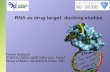 RNA as drug target: docking studies - Unistrainfochim.u-strasbg.fr/.../PDF_presentation/pres_Florent_Barbault.pdf · RNA as drug target: docking studies Florent Barbault ITODYS CNRS