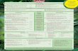 MAIN PASTA SALADS KIDS’ MAINS - Rainforest Cafetherainforestcafe.co.uk/wp-content/uploads/2017/12/MENU-RFC-12.2017... · RASTA PASTA: pappardelle pasta with Alfredo sauce, spinach,