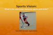 Sports Vision: What is the connection between sport and ... Seminar/Sports Vision G. Janssen.pdf · Sports performance • Biomechanical factors • Strength • Condition • Visual