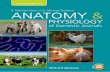 Anatomy and Physiology - download.e-bookshelf.de · Preface vii Preface to the First Edition ix About the Companion Website xi Chapter 1. Introduction to Anatomy and Physiology 3
