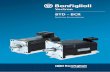 BTD - BCR - docsbonfiglioli.com · 7 Die hier beschriebenen bürstenlosen Servomotoren (geeignet für sinusförmige Spannungen) sind für eine dreiphasige Versorgung, 200 V AC und