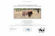 Potential European bison Bison bonasus) habitat in Germany · PROJECT REPORT. 1 . Potential European bison (Bison bonasus) habitat in Germany . Tobias Kuemmerle Humboldt-University