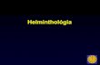 Helminthológia - Semmelweis Egyetemsemmelweis.hu/mikrobiologia/files/2014/12/FOK_14b.pdf · Féregfertőzések diagnosztikája Széklet: - flotációs féregpete dúsítás - sedimentációs