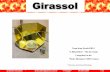 Girassol - images1.wikia.nocookie.netimages1.wikia.nocookie.net/solarcooking/images/7/72/GIRASSOL_step_by...>Girassol" (SunFlower) is a panel solar oven. >This oven is appropriate