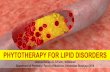 PHYTOTHERAPY FOR LIPID DISORDERSoktaviarahayu.lecture.ub.ac.id/files/2018/05/13.-Phytotherapy-for... · Avocado Hypercholesterolemia B Barley Hyperlipidemia B Beet Hyperlipidemia