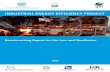 INDUSTRIAL ENERGY EFFICIENCY PROJECT - open.unido.org · The report contains the main results for the Egyptian iron and steel sector of the project “Industrial Energy Efficiency