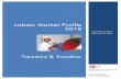 Labour Market Profile 2018 - ulandssekretariatet.dk · Danish Trade Union Council for International Development Cooperation Tanzania and Zanzibar Labour Market Profile 2018 Page ii