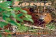 Lovac 82.pdf · pošumljavanje staništa divljači, uzgajanje, prehranjivanje i oplemenjivanje određene vrste divljači kroz selekciju i uzgojni odstrjel nerazvijenih, bolesnih i