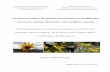 Arnica montana L.), la Gentiane jaune (Gentiana lutea L ... · Centre de Formation Professionnelle Certificat de Spécialisation et de Promotion Agricole de Nyons "Plantes à parfum,