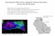 Assessing the Risk of CO2 Leakage & Induced Seismicity ... · Assessing the Risk of CO 2 Leakage & Induced Seismicity Across the Illinois Basin Mark Person & Yipeng Zhang; NM Tech