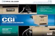 GOLD SERIES GAS BOILERS - weil-mclain.com · High efficiency Easy to install and service Made with Weil-McLain quality  CGi GOLD SERIES GAS BOILER HIGH EFFICIENCY