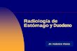 Radiología de Estómago y Duodeno - FMV - UBA · pared posterior Esofago Compresiones fisiologicas del botón aortico , hilio izquierdo . Masas mediastinicas, ewtructuras oseas.