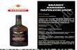 BRANDY’ BARDINET’ NAPOLEON’VSOP - douro.com.mx · french brand' ?ench french brandy french brandy bardinet produced, aged bottled in cellars of bordeaux france produce of france