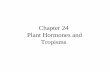 Chapter 24 Plant Hormones and Tropisms. 24... · Hormone Substance produced in one part of an organsim that affects another part of that same organism. Plant Hormone •Chemical substance