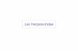 Les Herpesviridae - Psychaanalyse HERPESVIRIDAE - DIAPORAMA (67 Pages - 3,… · 1. Caractères généraux des Herpesviridae • virus àADN bicaténaire • capside icosaédrique