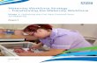 Maternity Workforce Strategy – Transforming the Maternity ... · Maternity Workforce Strategy – Transforming the Maternity Workforce Phase 1: Delivering the Five Year Forward
