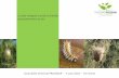 La lutte intégrée contre la chenille processionnaire du pin FDGDON.pdf · La chenille processionnaire du pin La henille proessionnaire du pin, forme larvaire d’un papillon de