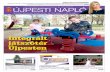 ÚJPEST ÖNKORMÁNYZATÁNAK HIVATALOS LAPJA …ujpest.hu/feltolt/ujpesti_naplo_2016-12.pdf · 100 FÉRŐHELYES FIZETŐPARKOLÓT BIZTOSÍTUNK. Aktuális információk: ujpest.hu/piac
