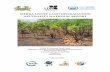 SIERRA LEONE LAND DEGRADATION NEUTRALITY NATIONAL … Leone LDN TSP... · MDGs Millennium Development Goals MLCPE Ministry of Lands, Country Planning and Environment NAPA National