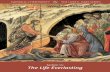Section 10: The Life Everlasting - Knights of Columbus · 110 8/14 Section 10: The Life Everlasting CATHOLIC CHRISTIANITY THE LUKE E. HART SERIES What Catholics Believe CATHOLICINFORMATION