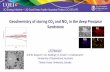 Geochemistry of storing CO2 and NOx in the deep Precipice ... - Geochemistry of storing... · Geochemistry of storing CO 2 and NO x in the deep Precipice Sandstone J.K Pearcea G.K.W.