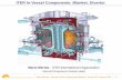 ITER In-Vessel Components: Blanket, Divertor - staff.polito.itstaff.polito.it/roberto.zanino/sub1/teach_files/current_topics/lect_merola.pdf · ITER In-Vessel Components •Divertor