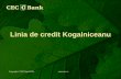 Linia de credit Kogalniceanu - emnconference.org fileclientul are in derulare si alte facilitati de credit pe termen scurt la CEC Bank sau la alte institutii bancare; • 50 % din