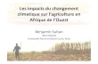 Les impacts du changement climatique sur l’agriculture en ...otmed.osupytheas.fr/sites/default/files/ancien_site/IMG/pdf/Les... · Les impacts du changement climatique sur l’agriculture