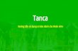 Tanca · Tanca chỉ lấy định vị vị trí khi nhân viên vào ca làm. Không lấy vị trí luôn luôn. Vì thứ nhậpnhất sẽ gây tốn pin trên điện thoäi