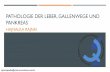 PATHOLOGIE DER LEBER, GALLENWEGE UND PANKREAS - …semmelweis.hu/.../DE_Pathologie-der-Leber-Gallenwege-und-Pankreas_RH.pdf · PANKREAS HAJNALKA RAJNAI rajnai.hajnalka@med.semmelweis-univ.hu.
