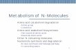 Metabolism of N-Molecules - 首頁 · Metabolism of N-Molecules Amino acid catabolism/degradation Amino group C-skeleton Amino acid anabolism/biosynthesis Non-essential amino acids