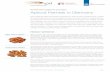 Practical market insights into your product Apricot ... · Practical market insights into your product Apricot Kernels in Germany The market for apricot kernels in Germany is quite