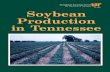 Soybean Production in Tennessee · Soybean Production in Tennessee Wayne T. Flinchum, Professor Plant and Soil Science. 4 (1) apply one-half ounce of crystalline sodium mo-lybdate