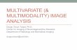 MULTIVARIATE (& MULTIMODALITY) IMAGE ANALYSIS - … · A more complex case ... PCA decorrelates multivariate data, finds useful components, reduces dimensionality. • PCA is only