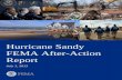 Sandy FEMA After Action Report - caloes.ca.gov · Sandy Analysis Team identified strengths and areas for improvement organized across four overarching themes. Theme 1: Ensuring unity